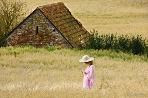 home-13.jpg